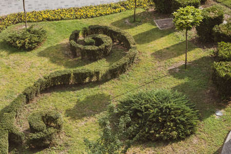 An arrangement with a special grass design in a Romanian city photographed from above. Selective...