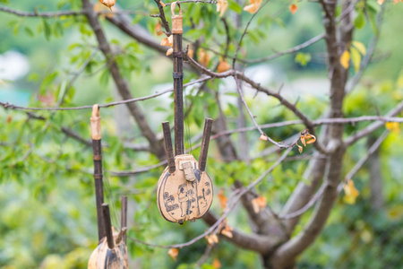 Two old and traditional handmade guitars Hanging in the trees in a summer dayの写真素材
