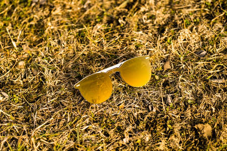 Special design Sunglasses with golden round lenses shoot outside in nature on grass in a sunny day...