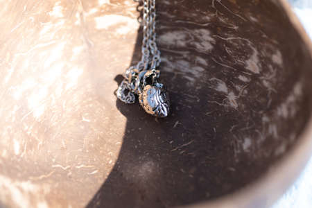 Anatomy 3D heart pendant with necklace silver color shoot outside in nature in a summer day closeup. Selective Focusの写真素材