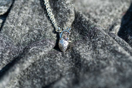 Anatomy 3D heart pendant with necklace silver color shoot outside in nature in a summer day closeup....