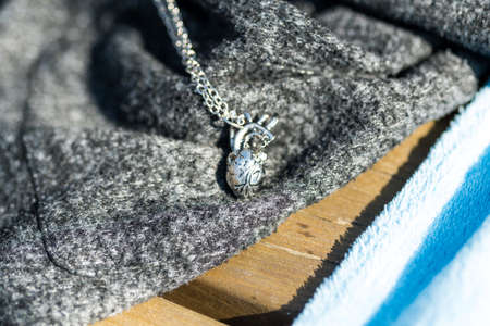 Anatomy 3D heart pendant with necklace silver color shoot outside in nature in a summer day closeup....