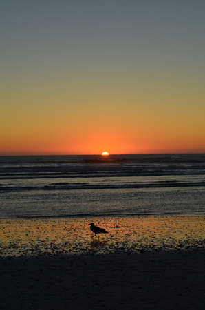 Sunset at the beachの写真素材