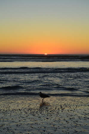 Sunset at seaの写真素材