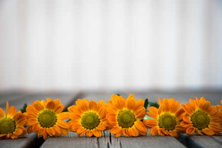 orange flowers on line  on wooden porchの写真素材