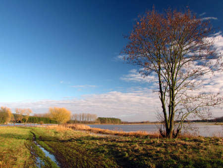 Demervallei                    の写真素材