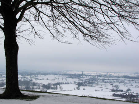 Misty Winterday                        の写真素材