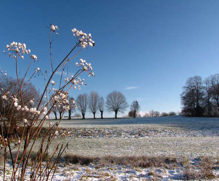 Winter scenery in Val Dieu, Ardennes, Belgium                            の写真素材