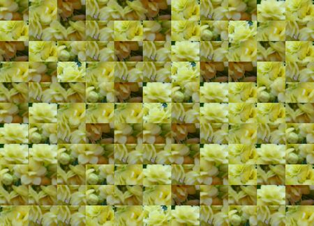 Background, border or texture - Floralの写真素材