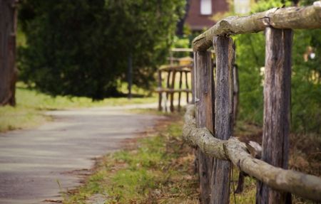 Wooden fence on country pathの写真素材