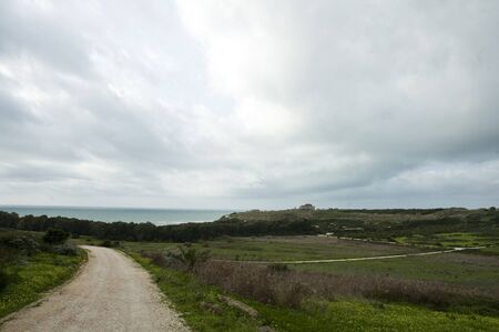 landscape of the archaeological area of Selinunte in Sicilyの写真素材