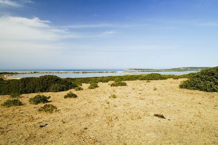 Stretch of the Sardinian coast and sea saltの写真素材