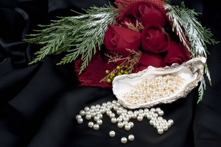 Pearl white and red roses on a black backgroundの写真素材