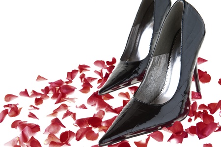 elegant Italian shoes for women on white backgroundの写真素材