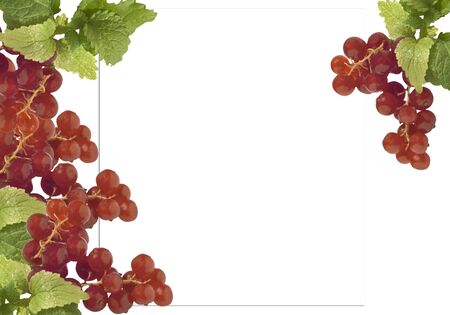 ticket with currants and fresh mint on a white background の写真素材