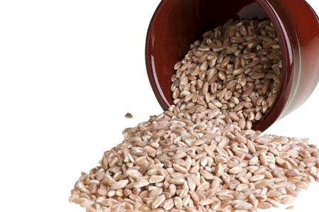 container upside down with grains of farroの写真素材