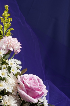 Composition of flowers on a white background
の写真素材