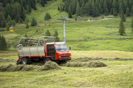 The crop of hay fodder in the mountainsのeditorial素材
