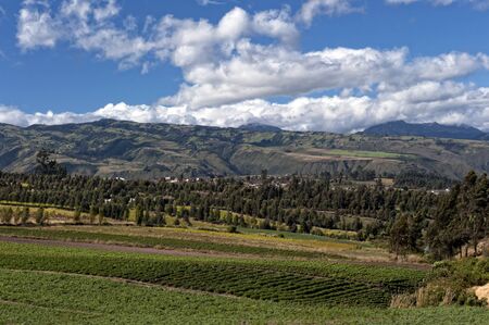 Agriculture in the Andean highlands in Ecuadorの写真素材