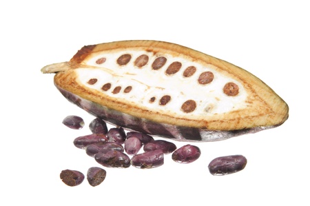 fruit of the cocoa tree on white background