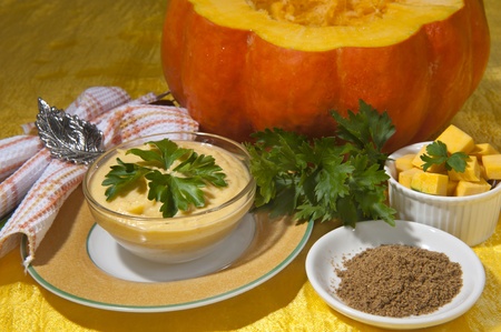 cream of pumpkin and shrimp with nutmeg and parsley on a colored backgroundの写真素材