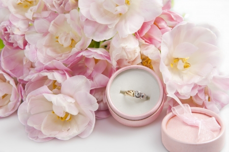 tulip and wedding rings on a white backgroundの写真素材