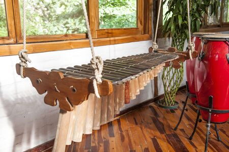  typical instrument of the city of Esmeraldas in Ecuadorの写真素材