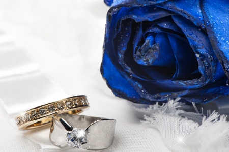 a  blue roses and wedding rings on white backgroundの写真素材