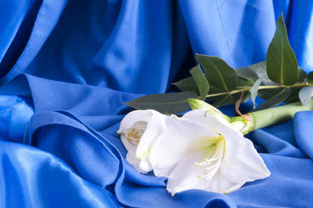 a composition of flowers for a weddingの写真素材