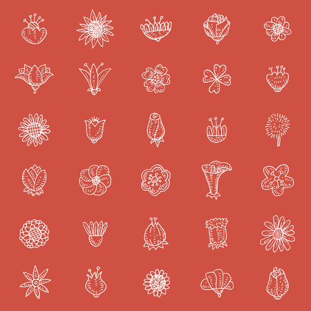 Flower set hand drawn.のイラスト素材