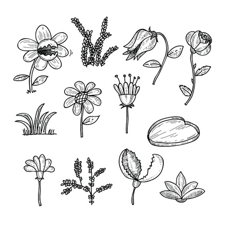 Flower set hand drawn.のイラスト素材