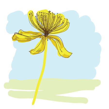 Sketching floral background.のイラスト素材