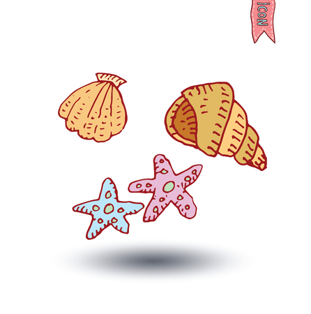 Sea shells and sea star, Hand drawn vector illustration.のイラスト素材