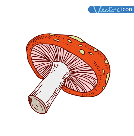 mushrooms  icons, vector illustration.のイラスト素材
