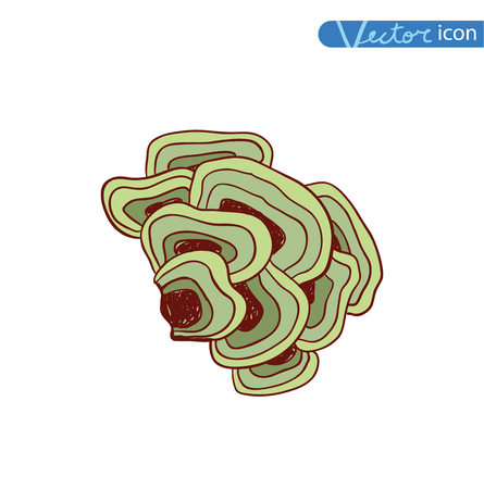 mushrooms set icons, vector illustration.のイラスト素材