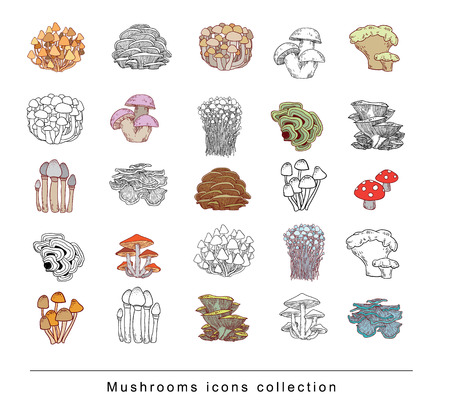 mushrooms set icons, vector illustration.のイラスト素材