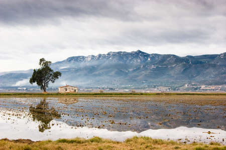 montsiaの写真素材