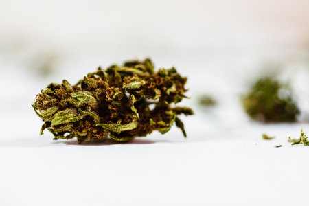 Marihuana and Cannabis Legalization, Objects on White Background, Medical and Recreational Weedの写真素材