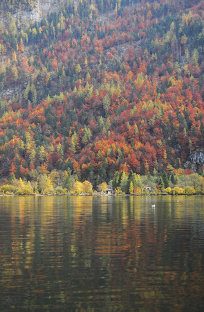 Hallstatt, Austria  Autumn Trees Reflectionの写真素材