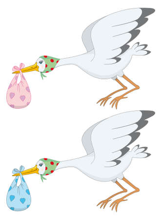 Stork bringing baby bag: male and female versionsのイラスト素材