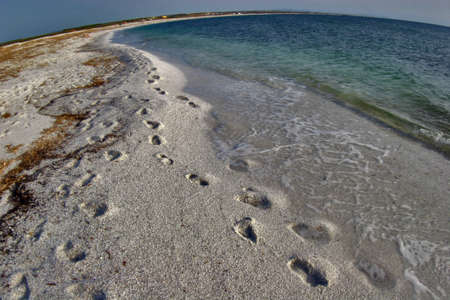 Sardinia islandの写真素材