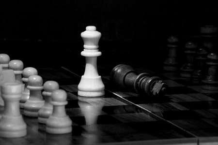 Chess photographed on a chessboardの写真素材