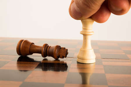 Chess photographed on a chessboard