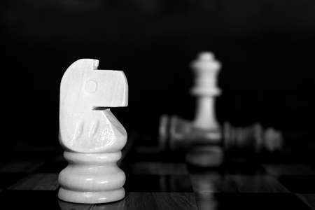 Chess photographed on a chessboardの写真素材