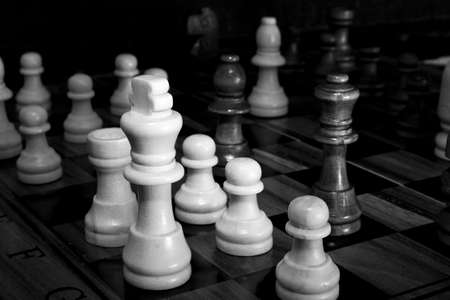 Chess photographed on a chessboardの写真素材