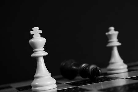 Chess photographed on a chessboardの写真素材