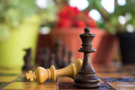 Chess photographed on a chessboard