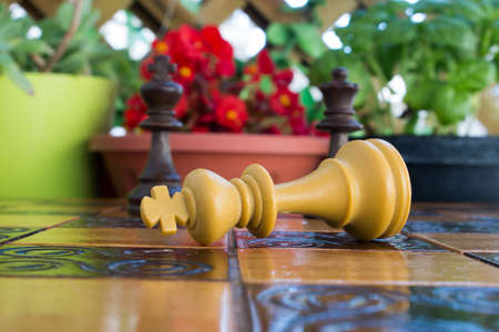 Chess photographed on a chessboard