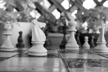 Chess photographed on a chessboardの写真素材