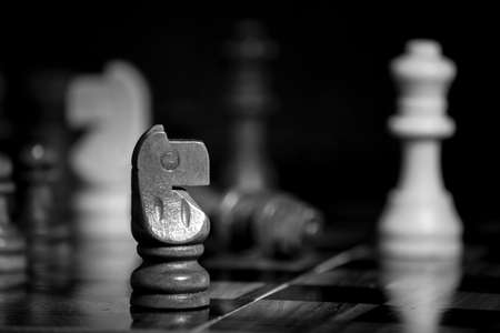Chess photographed on a chessboardの写真素材